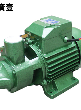 广一1DB45清水泵 380V家用泵 三相单相220V增压泵 550W水泵