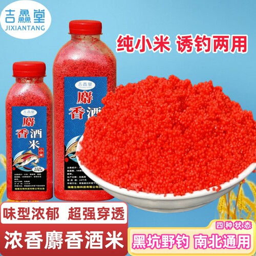 打窝米麝香酒米野钓鲫鱼打窝米