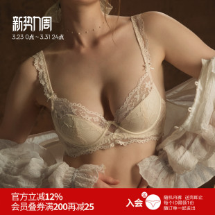 雅小姐法式 透气软钢圈性感聚拢文胸女 蕾丝内衣女大胸显小春夏薄款