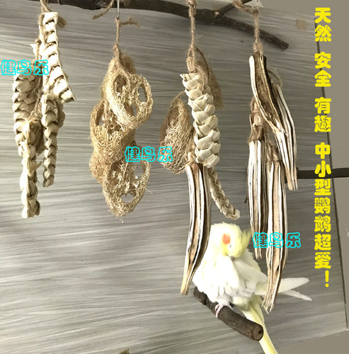 中小型鹦鹉啃咬玩具丝瓜络秋葵玉米皮系列宠物鸟牡丹玄凤虎皮文鸟 - 封面