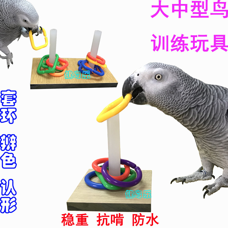 多功能大中型鹦鹉鸟益智训练套环玩具金葵等灰亚马鸡折中用