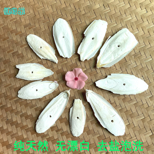 墨鱼骨健鸟乐去盐泡洗