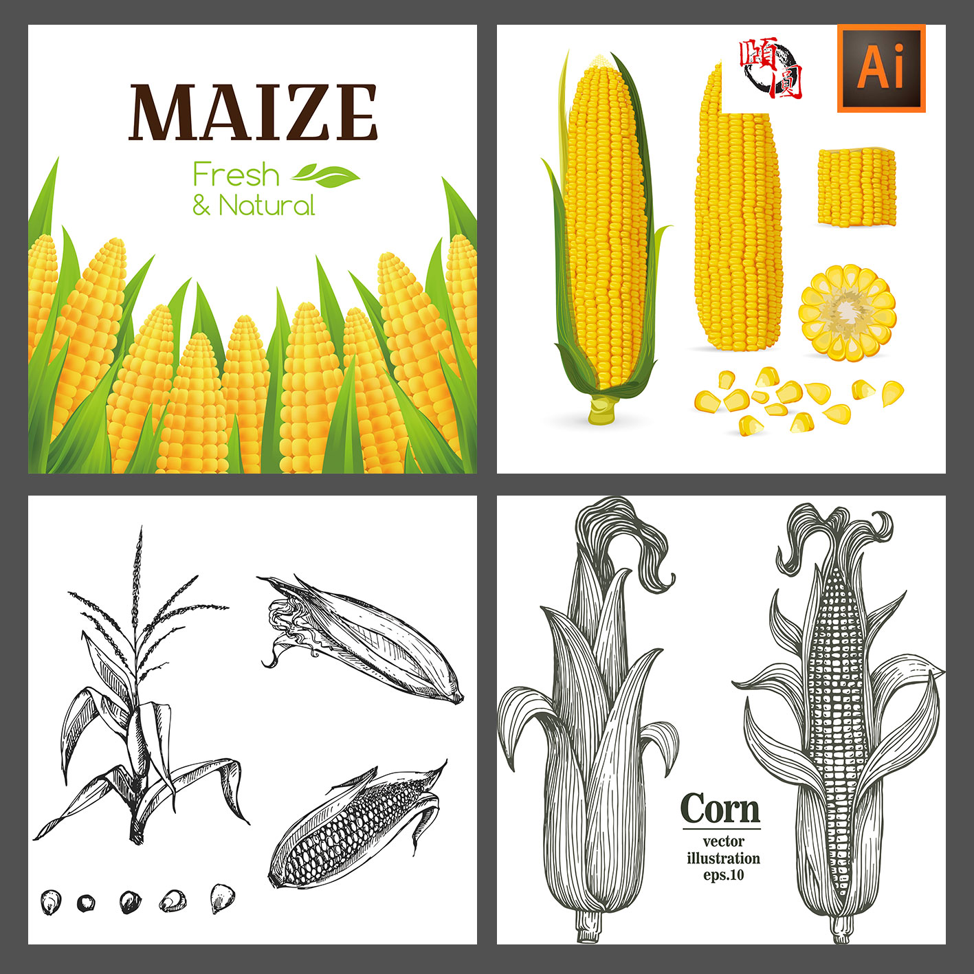 玉米线描素描插画插图ai矢量设计素材