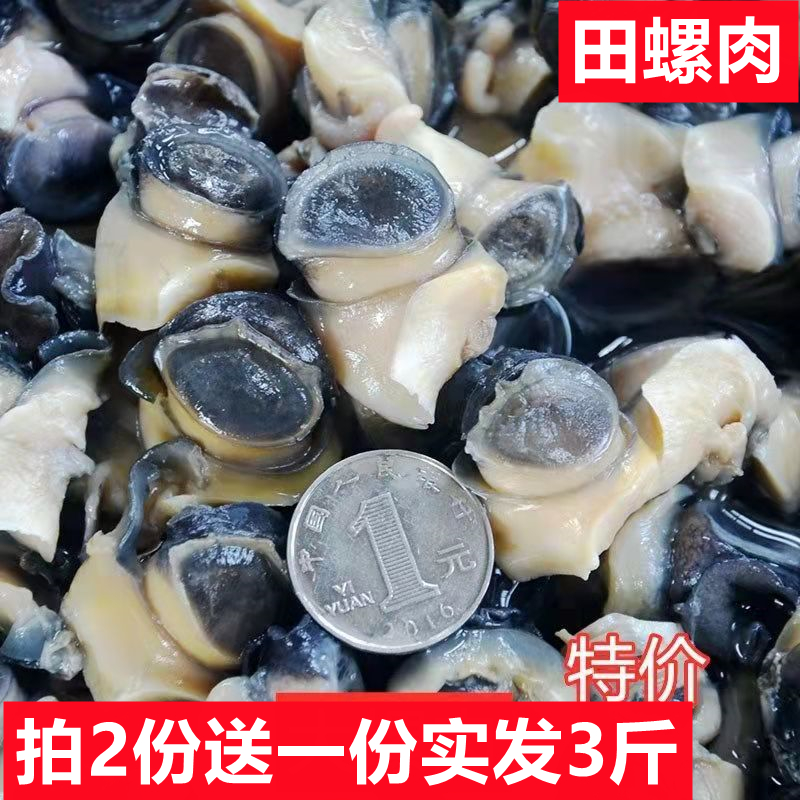 大田螺肉螺蛳肉新鲜螺肉手工现挑螺丝肉淡水1斤田螺肉真空装包邮