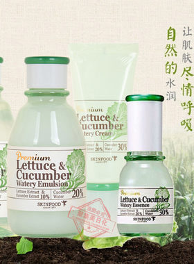 黄瓜韩国正装SkinFood/思亲肤