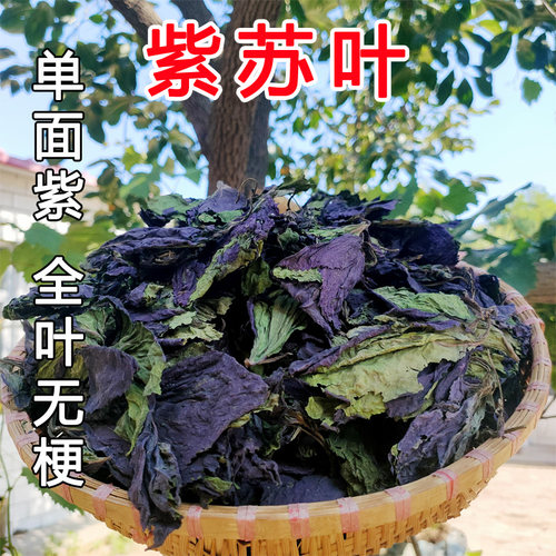 单面紫紫苏叶500克自产自销