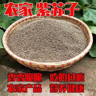 农家紫苏子食用紫苏籽非种子新鲜紫苏烧烤料脆香可口炒熟500克