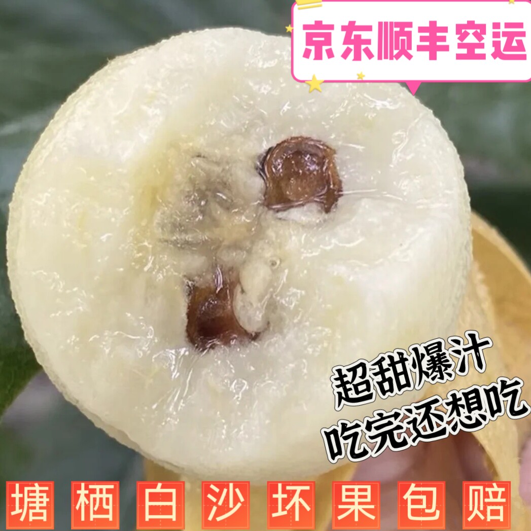 新鲜枇杷现摘现发正宗塘栖枇杷白沙超甜枇杷多汁新鲜水果