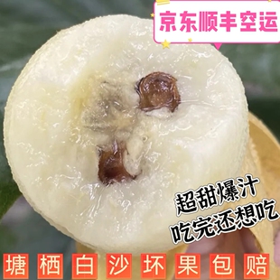 新鲜枇杷现摘现发正宗塘栖枇杷白沙超甜枇杷多汁新鲜水果