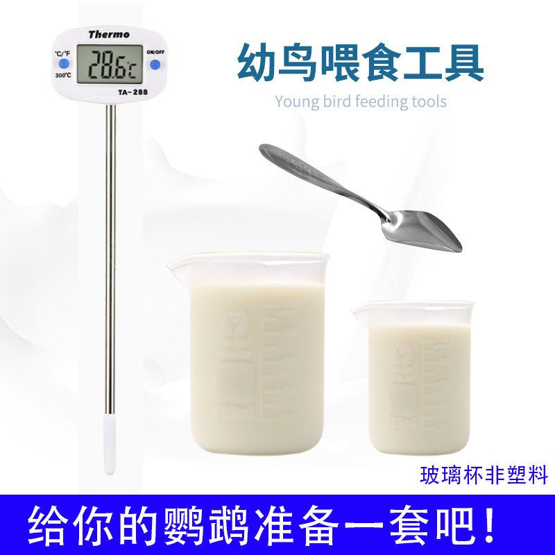 手养鹦鹉奶粉喂食工具 温度计勺子喂奶器奶温计 鹦鹉雏鸟幼鸟用品,宠物/宠物食品及用品,鸟禽其他,淘宝优惠券,粉丝福利购,淘宝优惠卷