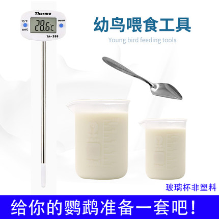 手养鹦鹉奶粉喂食工具 温度计勺子喂奶器奶温计 鹦鹉雏鸟幼鸟用品