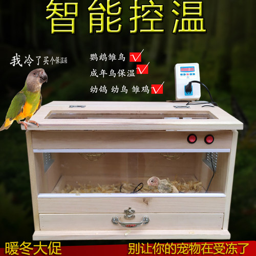 雏鸟鹦鹉牡丹虎皮玄风
