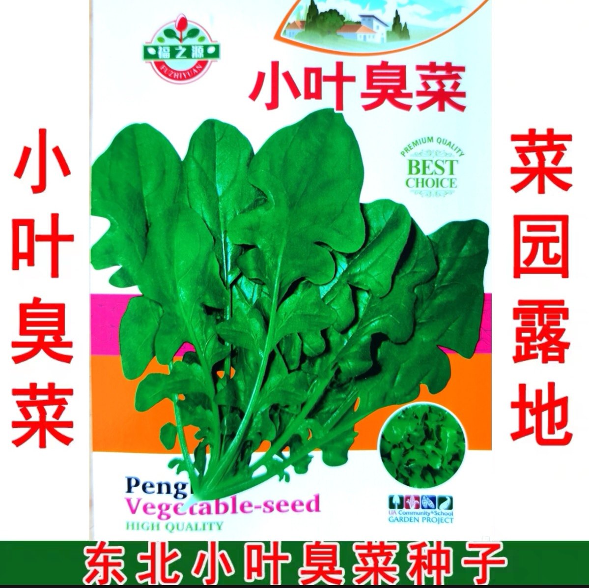 东北臭菜种子  春秋两季种植  菜园露地 小叶臭菜种子,农用物资,蔬菜种子/种苗,淘宝优惠券,粉丝福利购,淘宝优惠卷