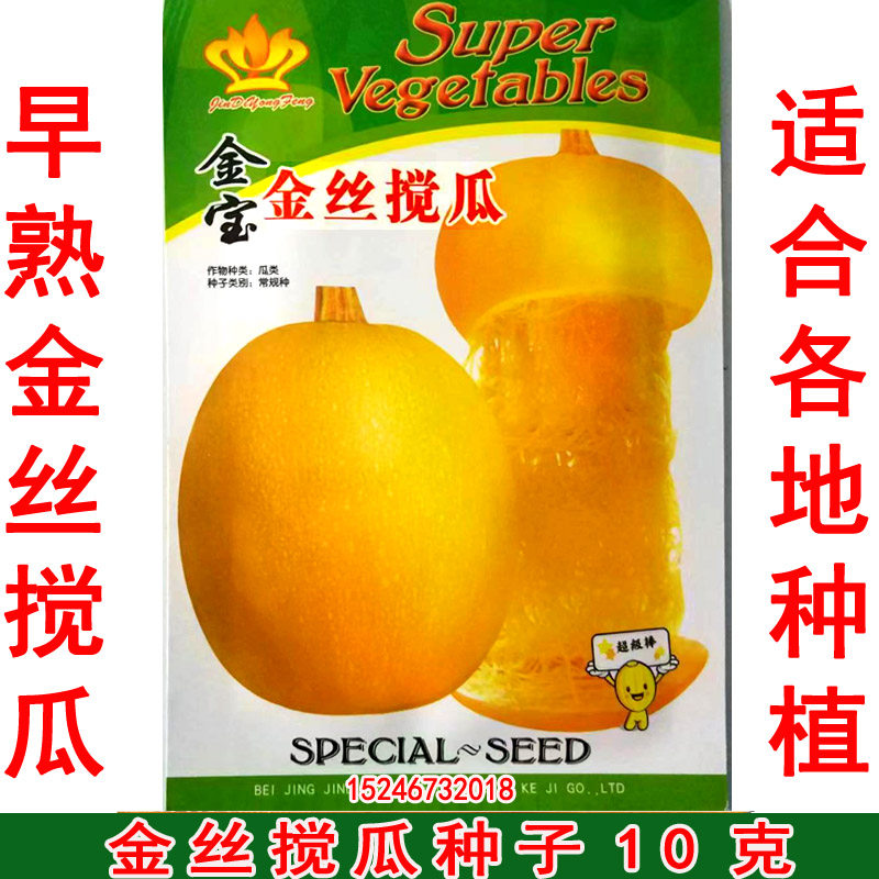 产地北京 早熟金丝瓜种子10克