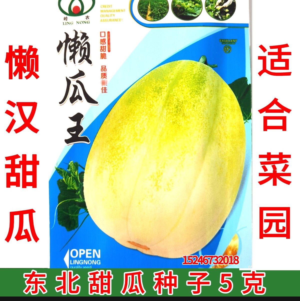 新籽东北甜香瓜  懒汉甜瓜 白糖罐 香甜酥脆 甜瓜种子图片