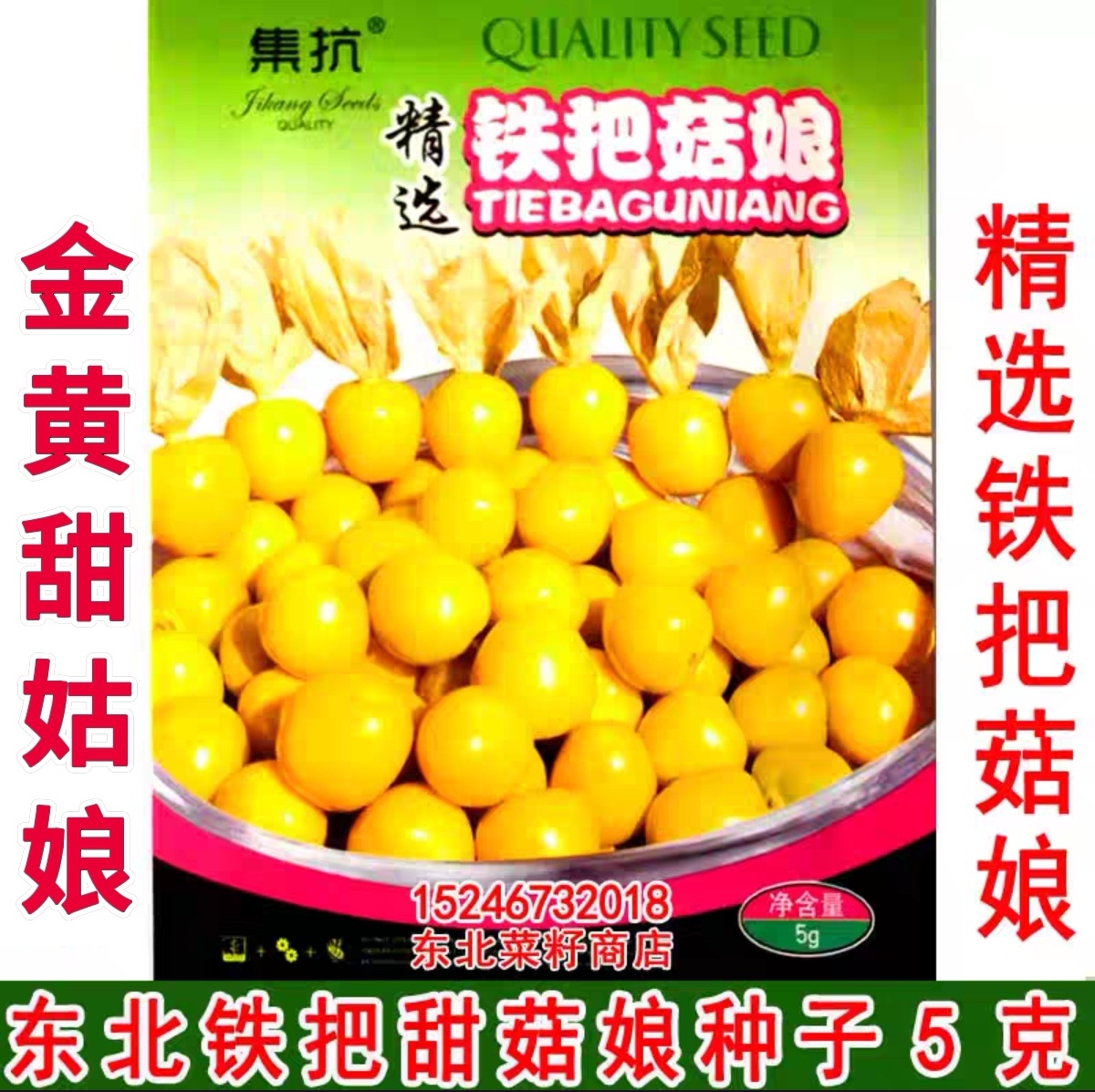 东北黄菇娘种子灯笼果 原装 金黄甜香 铁把甜姑娘种子