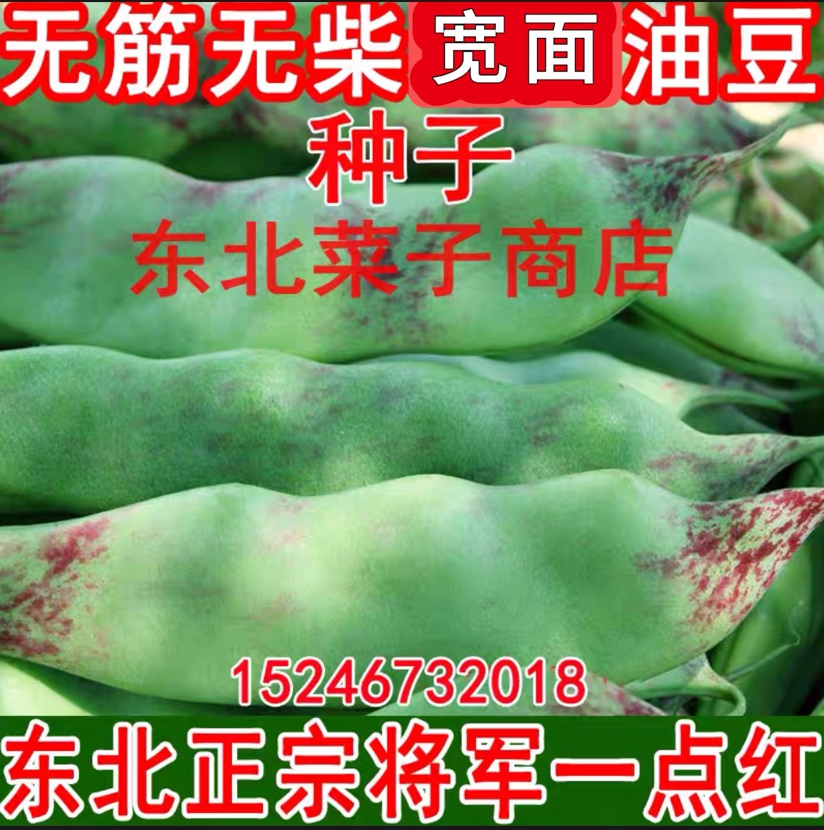 新东北宽油豆角种子 开锅烂 无筋无柴 将军一点红 大油豆种子,鲜花速递/花卉仿真/绿植园艺,家庭园艺种子,淘宝优惠券,粉丝福利购,淘宝优惠卷
