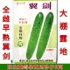 早熟全雌性农科院园艺 东北旱黄瓜种子 大棚露地节节有瓜 翼剑5克