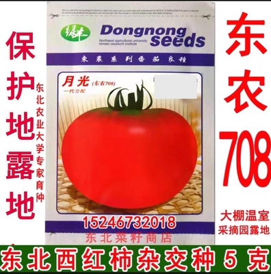 东北西红柿 保护地露地 东农708 原装 早熟大果 粉红番茄种子5克