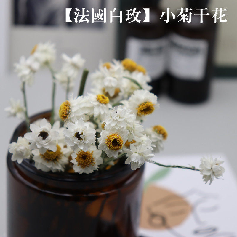 二月手作法国小白菊干花 手工diy香薰蜡烛装饰摆件插花扩香花材