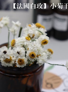 二月手作法国小白菊干花 手工DIY香薰蜡烛装饰摆件插花扩香花材