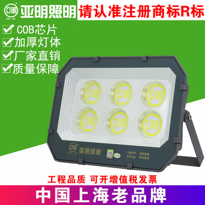上海亚明照明LED投光灯高亮户外防水IP66泛光灯球场路灯