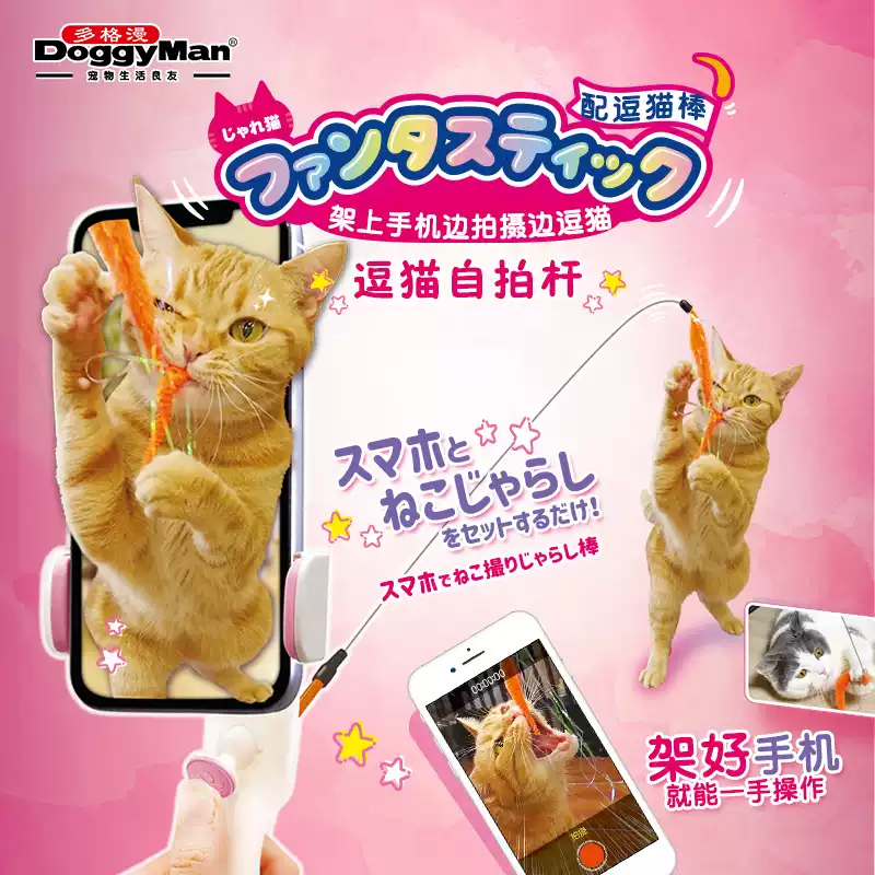 多格漫拍猫神器创意抓拍猫咪玩具逗猫棒自拍杆平衡支架可替换耐咬