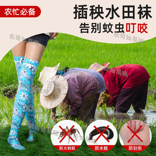 插秧种田采茶农用加厚过膝袜子防水蛭防蚂蟥防刮伤男女通用插秧袜
