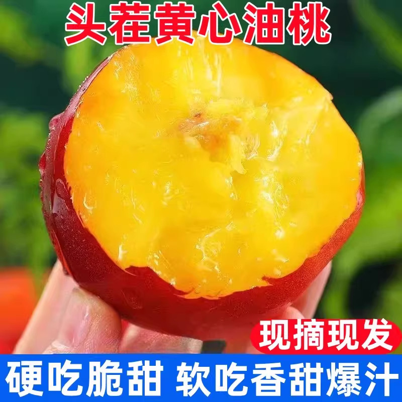 安徽砀山脆甜黄心油桃新鲜水果当季现摘农家自产桃子孕妇酸甜可口