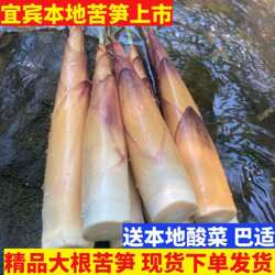 四川宜宾新鲜苦笋本地甜苦笋农家特产新鲜竹笋非乐山苦笋2斤包邮