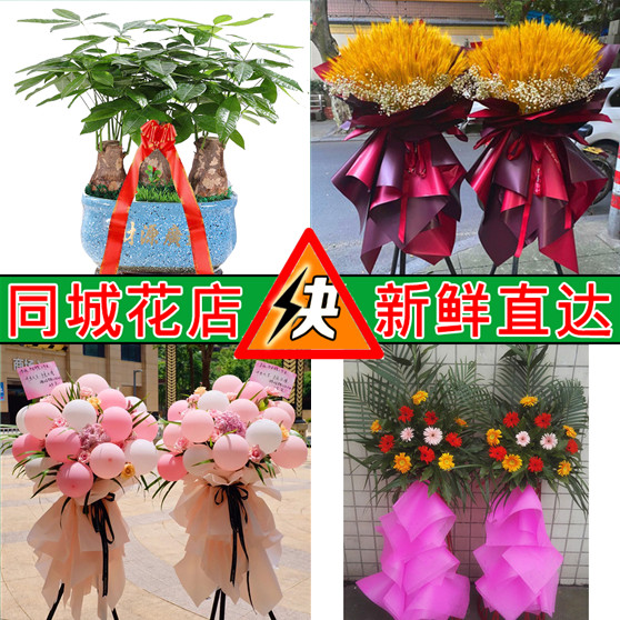 送朋友乔迁新居开业鲜花篮绿植重庆渝中万州涪陵大渡口区同城速递