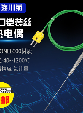 进口铠装热电偶K型炉温可弯曲1150度WRNK191温度传感器Inconel600