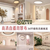 新款 主播间背景墙北欧简约背景布男女服装 直播抖音视频摄像仿真布