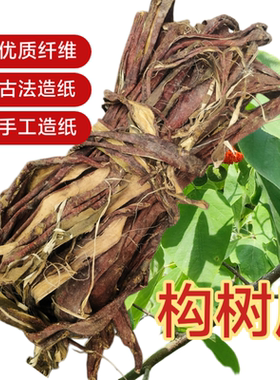造纸树皮幼儿园diy造纸