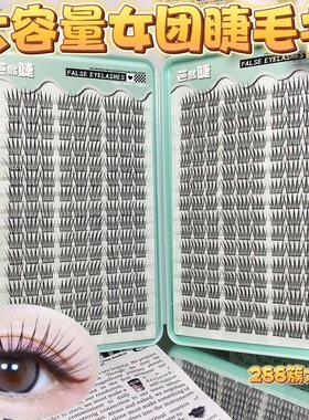 32排大容量韩系女团ACE睫毛书分段式假睫毛自然仿真超细黑梗新手