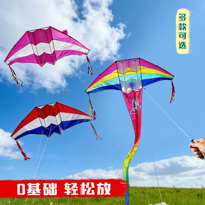 淘淘乐2.5米彩虹滑翔机风筝潍坊成人新手抗大风尼龙伞布风筝