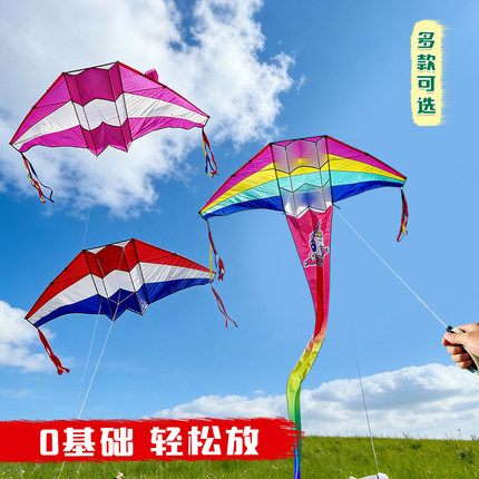 淘淘乐2.5米彩虹滑翔机风筝潍坊成人新手抗大风尼龙伞布风筝