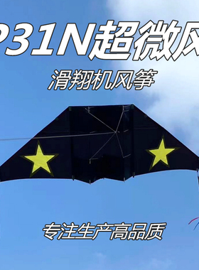 淘淘乐2米P31N滑翔机超微风筝成人大型专业潍坊风筝微风易飞