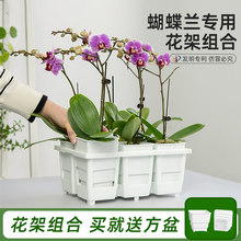 美莳蝴蝶兰专用花盆花架组合方形透气超陶瓷塑料套盆带托盘控根盆