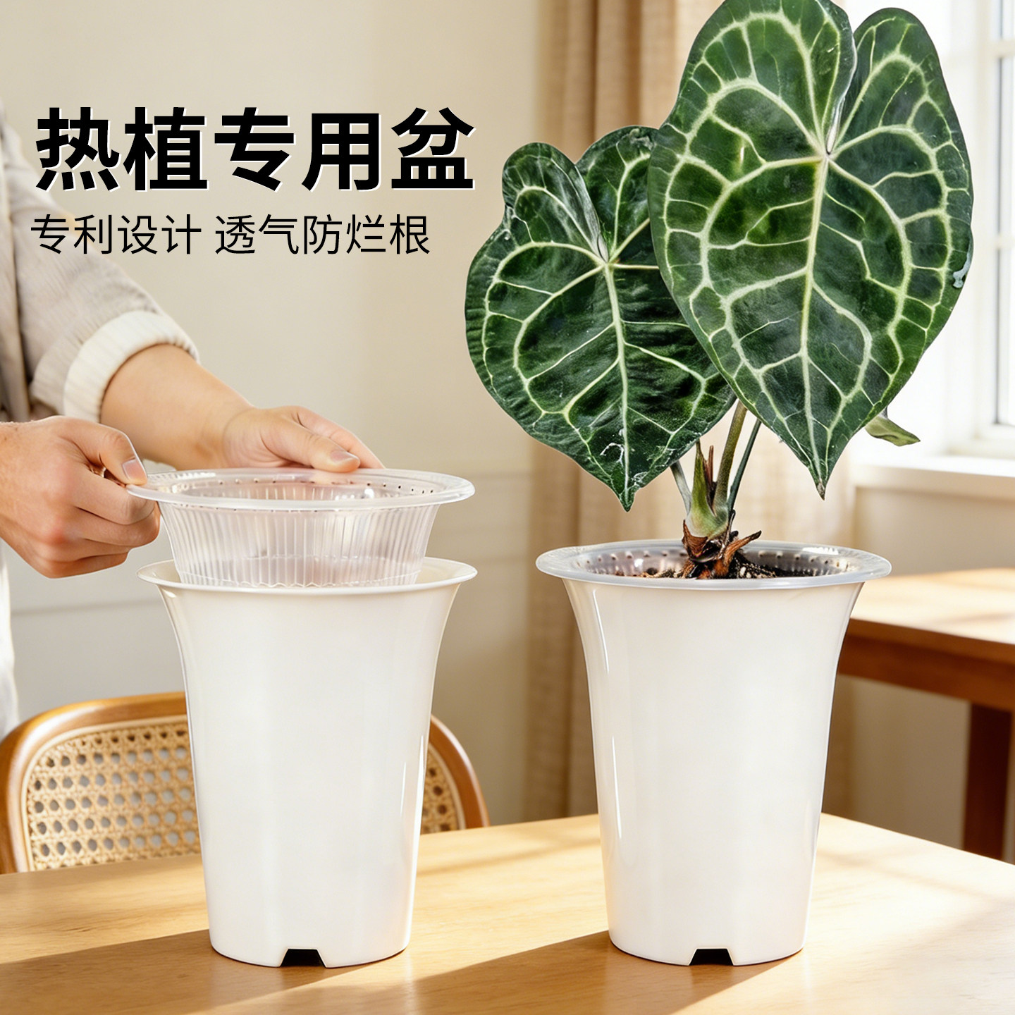 美莳热植专用控根花盆双层加高大号青山透气树脂塑料海芋花烛套盆,鲜花速递/花卉仿真/绿植园艺,花盆,淘宝优惠券,粉丝福利购,淘宝优惠卷