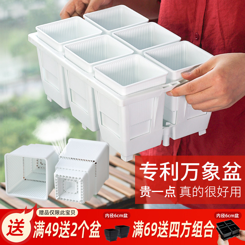 美莳玉露多肉控根花盆深高花架万象十二卷仙人球生石花塑料专用盆,鲜花速递/花卉仿真/绿植园艺,花盆,淘宝优惠券,粉丝福利购,淘宝优惠卷