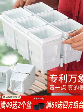 美莳玉露多肉控根花盆深高花架万象十二卷仙人球生石花塑料专用盆