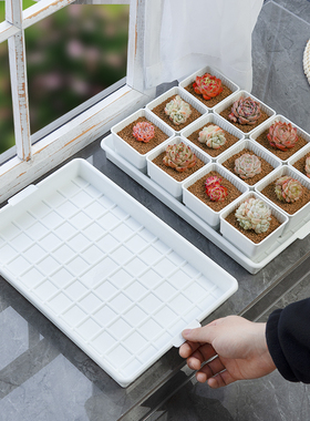 美莳多肉花盆托盘防烂根底座长方形植物浸盆收纳塑料垫底沥接水盘