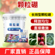 奥丰颗粒硼释放均匀直接撒提质增产施果树蔬菜农用奥潍正品 水溶肥