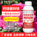 奥丰钙镁硼锌铁肥水溶肥促花促果增产果树蔬菜农用通用正品 叶面肥
