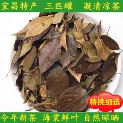 湖北宜昌凝清茶三匹罐野茶花红茶叶海棠叶一匹罐凉茶晒干