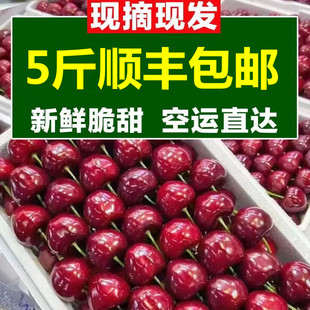 现货大樱桃5斤国产车厘子新鲜现摘水果红灯整箱顺丰包邮当季大果