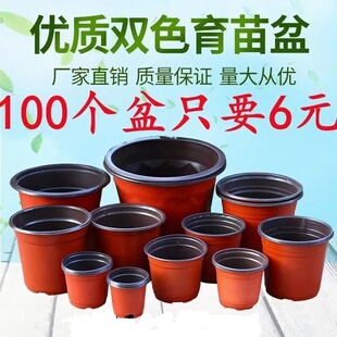 加厚一次性双色盆草莓育苗盆多肉种植盆大号简易花盆育苗杯营养钵