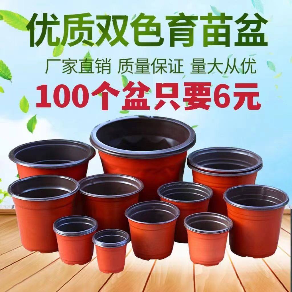 加厚一次性育苗花盆种植塑料盆营养钵扦插多肉盆双色盆草莓培育盆