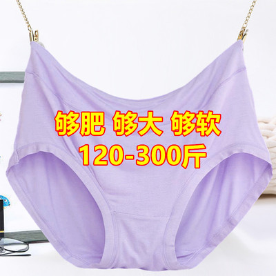 300斤加肥加大码内裤女200斤中腰莫代尔胖mm孕妇妈妈宽松柔软短裤